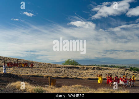 Hula halu am Kulturfestival in Pu'ukohala Heiau NP auf Hawaii Insel wie Royal Court auf aussieht. Stockfoto