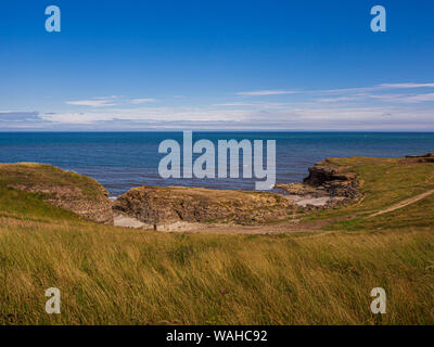 Die Wherry, Whitburn Coastal Park, Tyne and Wear, England Stockfoto