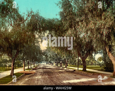 Marengo Avenue, Pasadena, Kalifornien, um 1900 Stockfoto