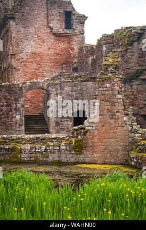 Nahaufnahme der Rückseite von Caerlaverock Castle, ein Doppelzimmer, ein Wasserschloss dreieckigen Burg gebaut von der Maxwell Clan im 13. Jahrhundert, war ein Stockfoto