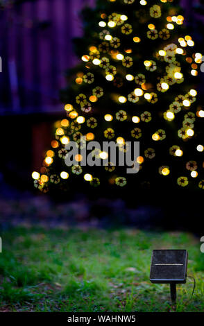 Ein Solarmodul vor einem Weihnachtsbaum mit solarbetriebenen Weihnachtsbeleuchtung in der Dämmerung mit Papierkorb Symbol bokeh. Nachhaltige Energie lebendiges Konzept Stockfoto