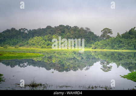 Blick auf Crocodile Lake im Dschungel der Nam Cat Tien Nationalpark in Vietnam. Dieser See ist mit der Bezeichnung 'Bau Sau' Stockfoto