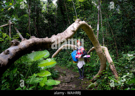 Nam Cat Tien Nationalpark, Provinz Dong Nai, Vietnam, 17. August 2019: Touristen sind zu Fuß durch den Wald tropische Wälder in der na zu erkunden Stockfoto