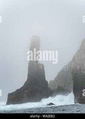 Die Shag Rocks in der Nähe von South Georgia, eine unbewohnte Gruppe von felsigen Inseln im Südlichen Ozean. Rookery des Kaiserlichen Krähenscharben (Phalacrocorax Albiventer oder Leucocarbo atricpes). Stockfoto