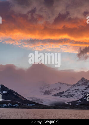 St. Andres Bay auf Südgeorgien während des Sonnenuntergangs. An der Küste ist eine riesige Kolonie von Königspinguine (Aptenodytes patagonicus). Stockfoto