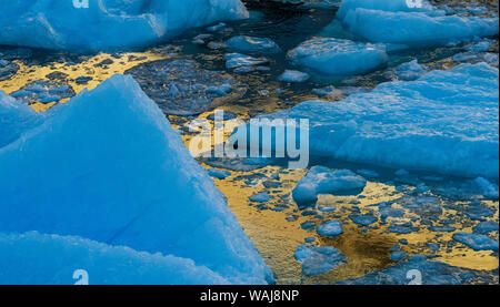 Antarktische Halbinsel, Antarktis, Lemaire Kanal. Gletschereis. Stockfoto