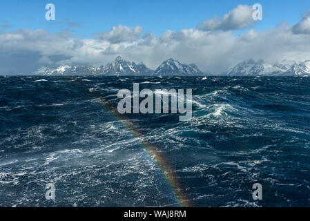 South Georgia Island. Regenbogen über dem Ozean weg von Drygalski Fjord. Stockfoto