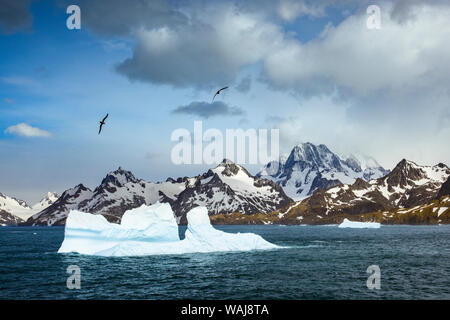 South Georgia Island. Berglandschaft und Gletschereis in der Nähe von Drygalski Fjord. Stockfoto