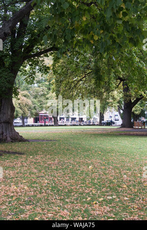 Australien, Tasmanien, Hobart. Schattigen Park vor dem Parlament. Blick auf die Cafés Stockfoto