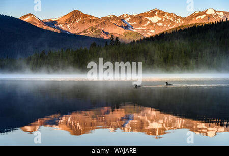 Kanada, British Columbia. South Chilcotin Mountains Provincial Park, Fichte See sonnenaufgang Reflexionen und gemeinsamen Seetaucher. Stockfoto