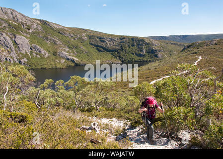 Australien, Tasmanien. Cradle Mountain-Lake St. Clair National Park. Wanderer aufsteigend von Crater Lake. (MR) Stockfoto