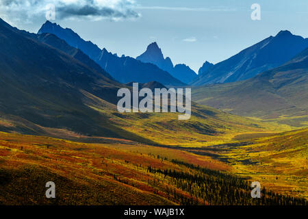 Kanada, Yukon, Tombstone Territorial Park, Herbst Farbe und Berg Blick ins Tal. Stockfoto