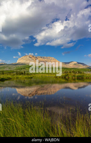 Sofa Berg spiegelt in Beaver Pond in Waterton Lakes National Park, Alberta, Kanada Stockfoto