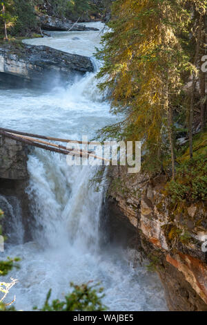 Jasper National Park, Alberta, Kanada. Wandern entlang der Johnston Canyon River auf der Unteren und Oberen fällt weg. Stockfoto