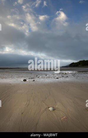 Die Bucht von Fundy Ebbe, vom Strand in Alma New Brunswick gesehen Stockfoto