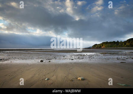 Die Bucht von Fundy Ebbe, vom Strand in Alma New Brunswick gesehen Stockfoto