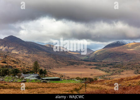 Neuschnee in den Bergspitzen über Weide s im Nationalpark Killarney, Irland Stockfoto