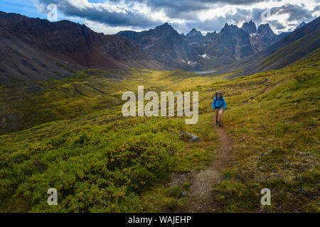 Kanada, Yukon, Tombstone Territorial Park. (MR) Stockfoto