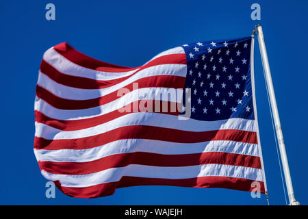 Amerikanische Flagge weht im Wind, USA Stockfoto