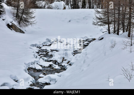 Österreich, Kals am Großglockner. Kleiner Bach im Winter in der Nähe der Großglockner Stockfoto