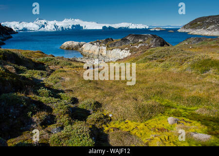 Grönland. Ilulissat. Tundra auf dem Weg zum Eisfjord. Stockfoto