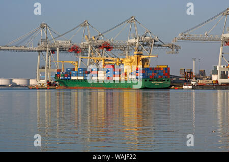 Containerschiff, Le Havre, Normandie, Frankreich Stockfoto