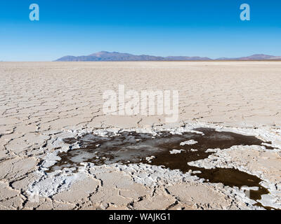 Oberfläche des Salar. Landschaft auf den Salinas Grandes Salt Flats im Altiplano, Argentinien. Stockfoto
