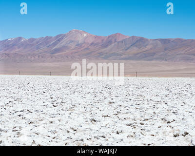 Der Salzsee Salar de Pocitos in der Argentinischen Altiplano, Argentinien. Stockfoto