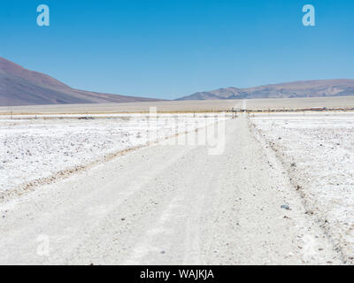 Der Salzsee Salar de Pocitos in der Argentinischen Altiplano. Routa 27 überquert die Salzebenen, Pocitos Dorf im Hintergrund. Argentinien. Stockfoto