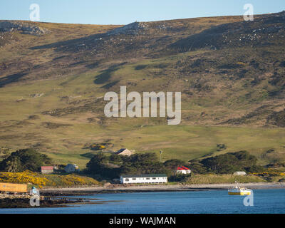 Karkasse Island, einer kleinen Insel im West Falkland Inseln. (Redaktionelle nur verwenden) Stockfoto