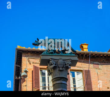 Kapitolinischen Wolf Statue, Cathedral Square, Siena, Italien. Romulus und Remus, die Symbole des antiken Rom. Stockfoto