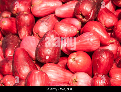 La Garita, Costa Rica. Malay Äpfel (Syzygium malaccense) in ein Bauernmarkt gefunden. Stockfoto