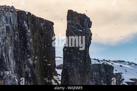 Norwegen, Svalbard, Spitzbergen. Alkefjellet, Basalt Türme steigen aus dem Meer. Stockfoto