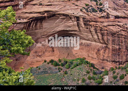 Weiße Haus Ruinen, Canyon de Chelly, Chinle, Arizona, USA. Stockfoto