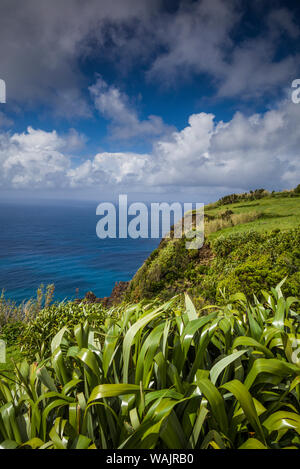 Portugal, Azoren, Faial Island, Baia de Ribeira. Erhöhten Blick auf Porto da faja Stockfoto