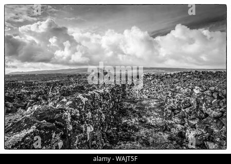 Portugal, Azoren, Insel Pico, Arcos. Weinberge aus Vulkanstein Stockfoto