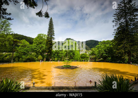 Portugal, Azoren, Sao Miguel, Furnas. Terra Nostra Garden, thermische See Stockfoto