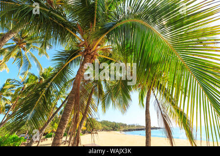 Hulopo'e Beach Park, der als einer der schönsten Strände der Welt, Lanai Insel, Hawaii, USA Stockfoto