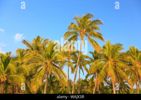 Hulupo'e Bay, Lanai Island, Hawaii, USA Stockfoto