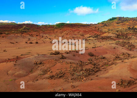 Kaehiakawaelo (Garten der Götter), eine Marslandschaft von Red Schmutz, lila Lava, und Felsformationen, die durch Abnutzung, Lanai Insel, Hawaii, USA Stockfoto