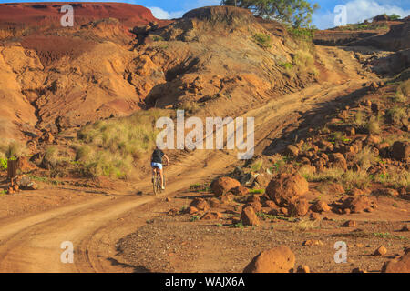 Kaehiakawaelo (Garten der Götter), eine Marslandschaft von Red Schmutz, lila Lava, und Felsformationen, die durch Abnutzung, Lanai Insel, Hawaii, USA Stockfoto