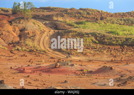 Kaehiakawaelo (Garten der Götter), eine Marslandschaft von Red Schmutz, lila Lava, und Felsformationen, die durch Abnutzung, Lanai Insel, Hawaii, USA Stockfoto