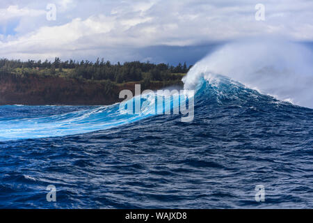 Riesige Welle bricht in der Nähe von 'Jaws' North Shore von Maui, Hawaii, USA Stockfoto