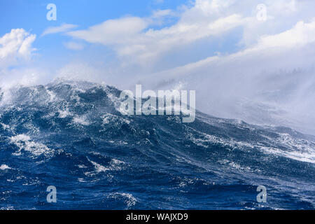 Riesige Welle bricht in der Nähe von 'Jaws' North Shore von Maui, Hawaii, USA Stockfoto