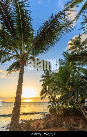 Sonnenuntergang am Strand in der Nähe des Wailea, Maui, Hawaii, USA Stockfoto