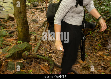 Frau spritzen Mosquito Insektenschutz auf Ihr Bein in den tropischen Wald. Stockfoto