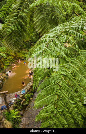 Portugal, Azoren, Sao Miguel Island, Caldeira Velha. Außen-Pool Stockfoto