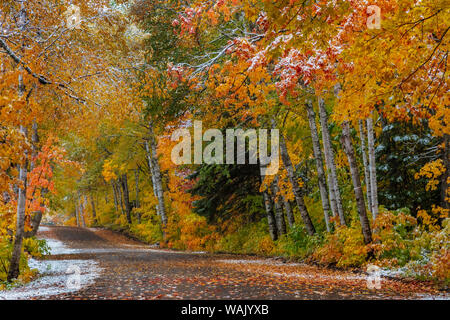 Leichter Schneefall auf Wyoming Road in der Nähe von Copper Harbor in der Oberen Halbinsel von Michigan, USA Stockfoto