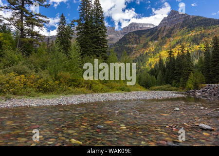 McDonald Creek mit Garten Wand im frühen Herbst im Glacier National Park, Montana, USA Stockfoto