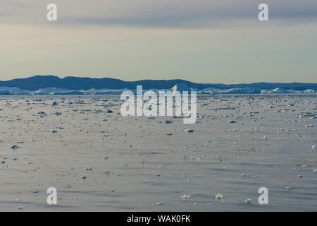 Grönland, Ilulissat. Eisberge in der Ferne. Stockfoto